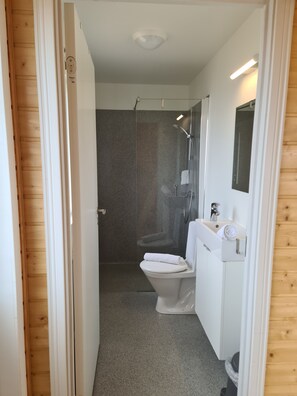 Ducha, secador de pelo, toallas