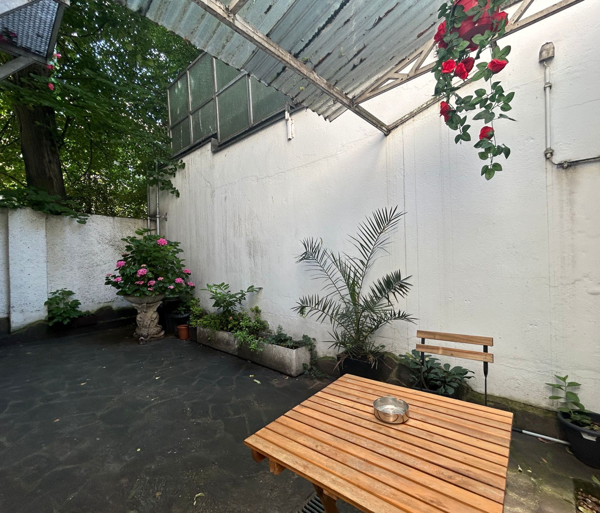 Photo - Hotel Cara Vita Cologne