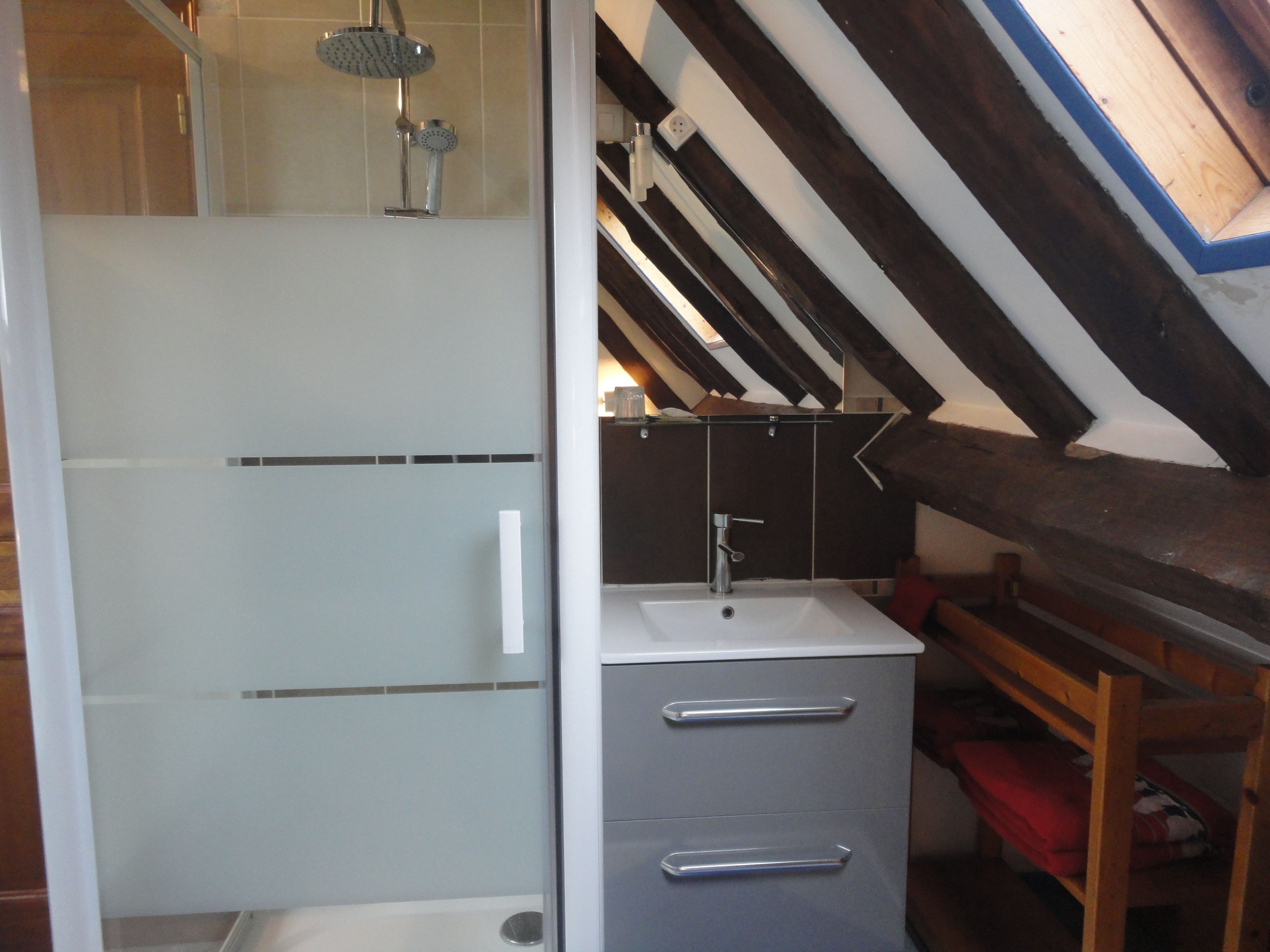 Driepersoonskamer (Kami) | Badkamer met douche