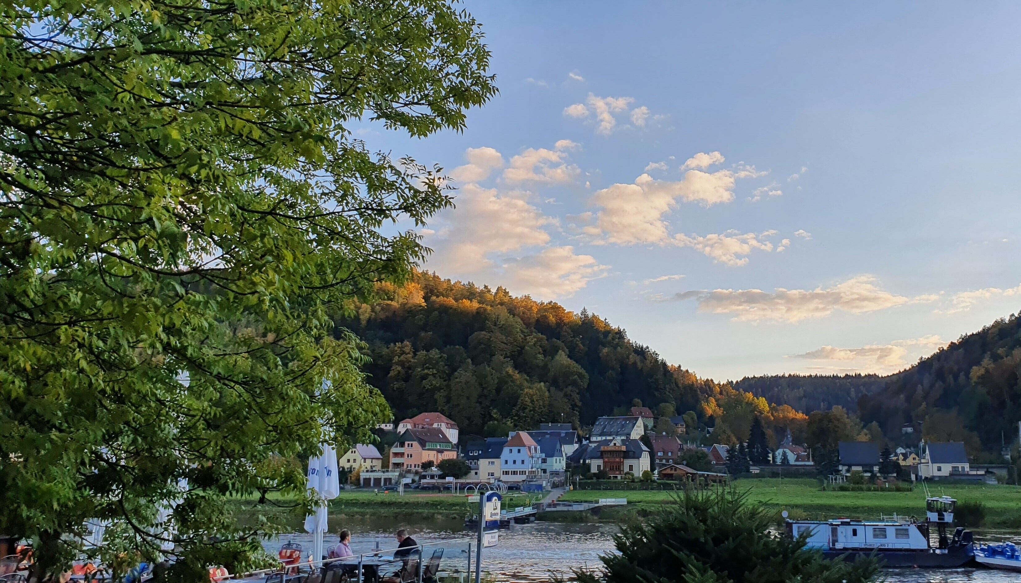 Eine Stadt am Flussufer mit Gebäuden, einem Steg und einem Baum im Vordergrund.