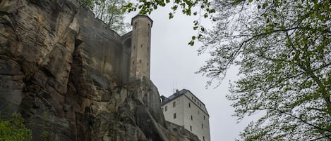 A castle built into a rocky cliff, surrounded by dense greenery.
