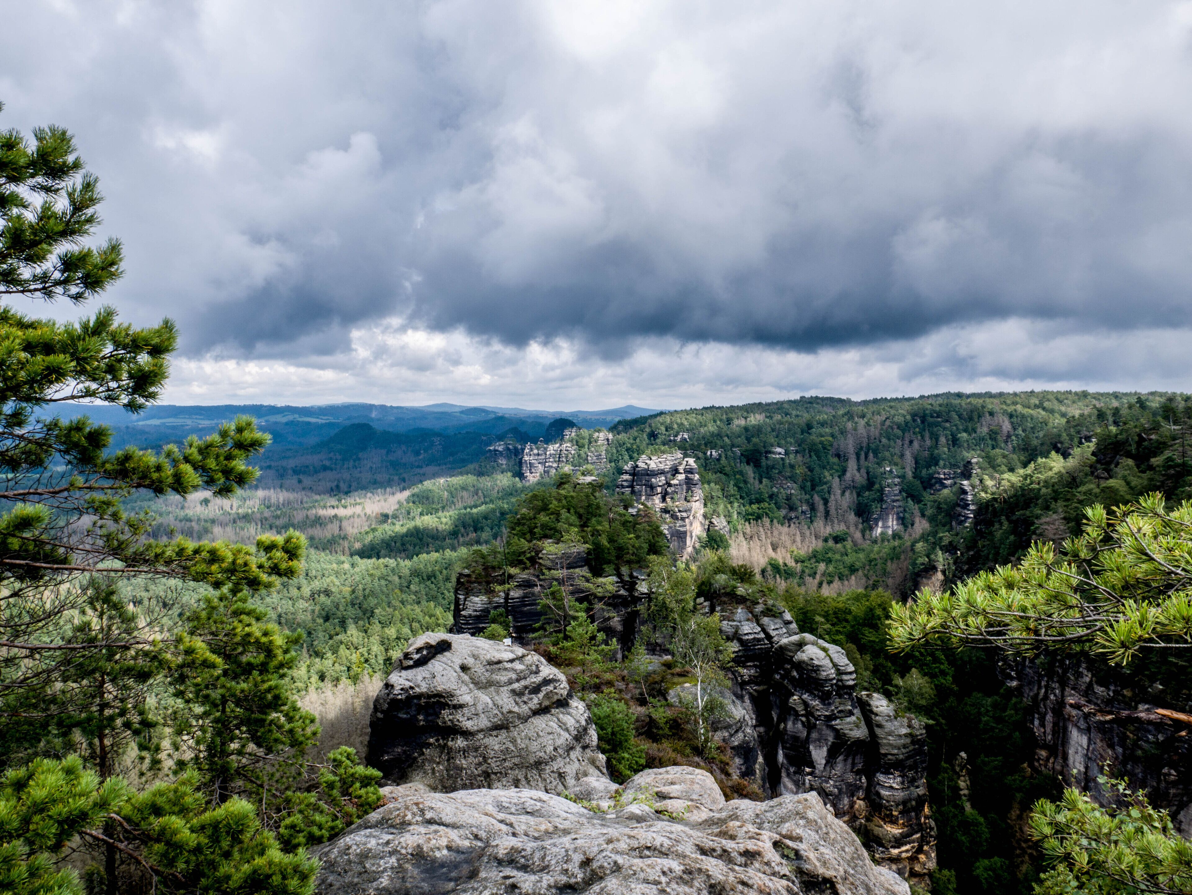 Un paisaje montañoso con formaciones rocosas destacadas y un bosque denso.