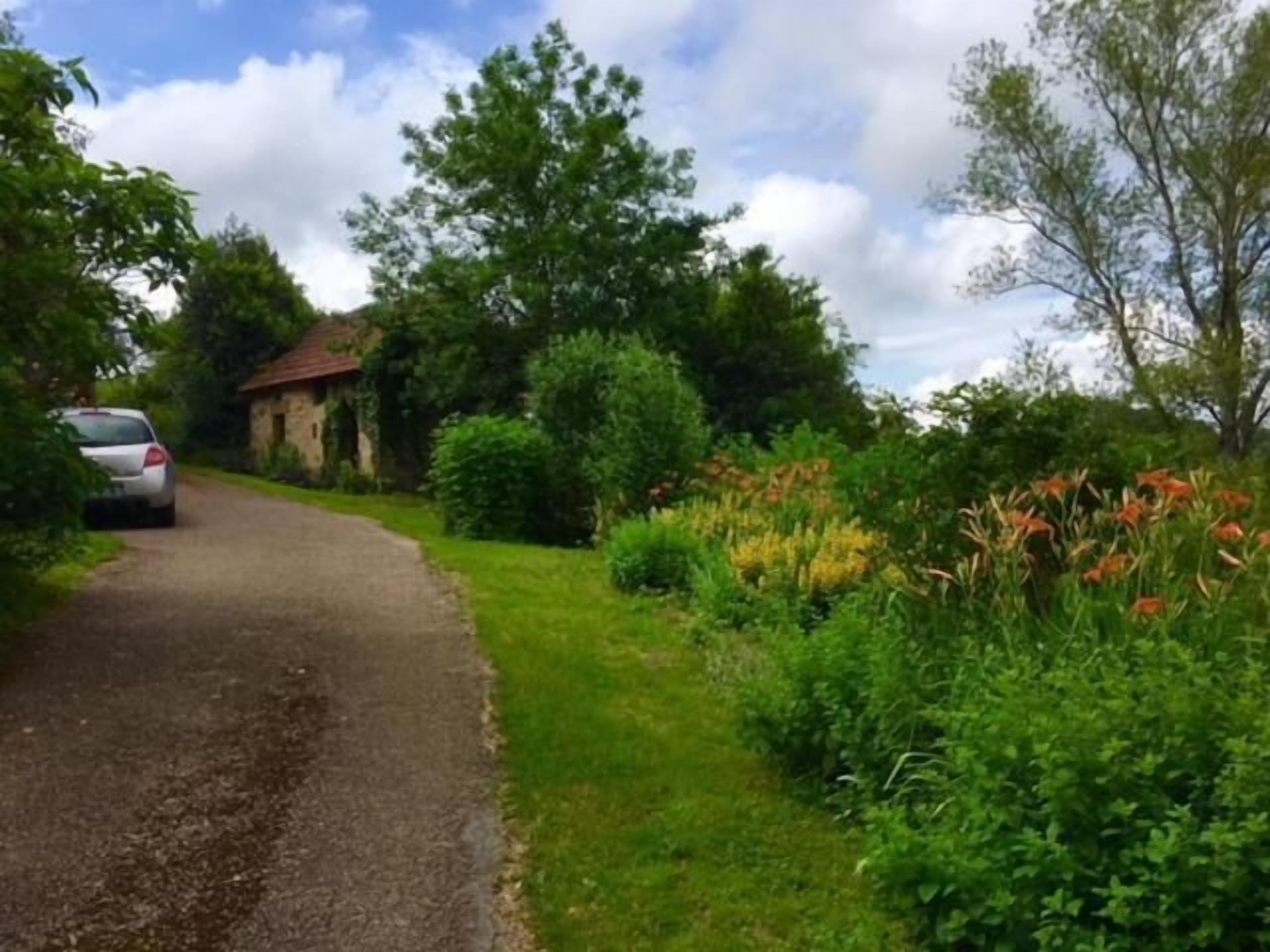 A rural road with a car parked on the side, surrounded by lush greenery and flowering plants.