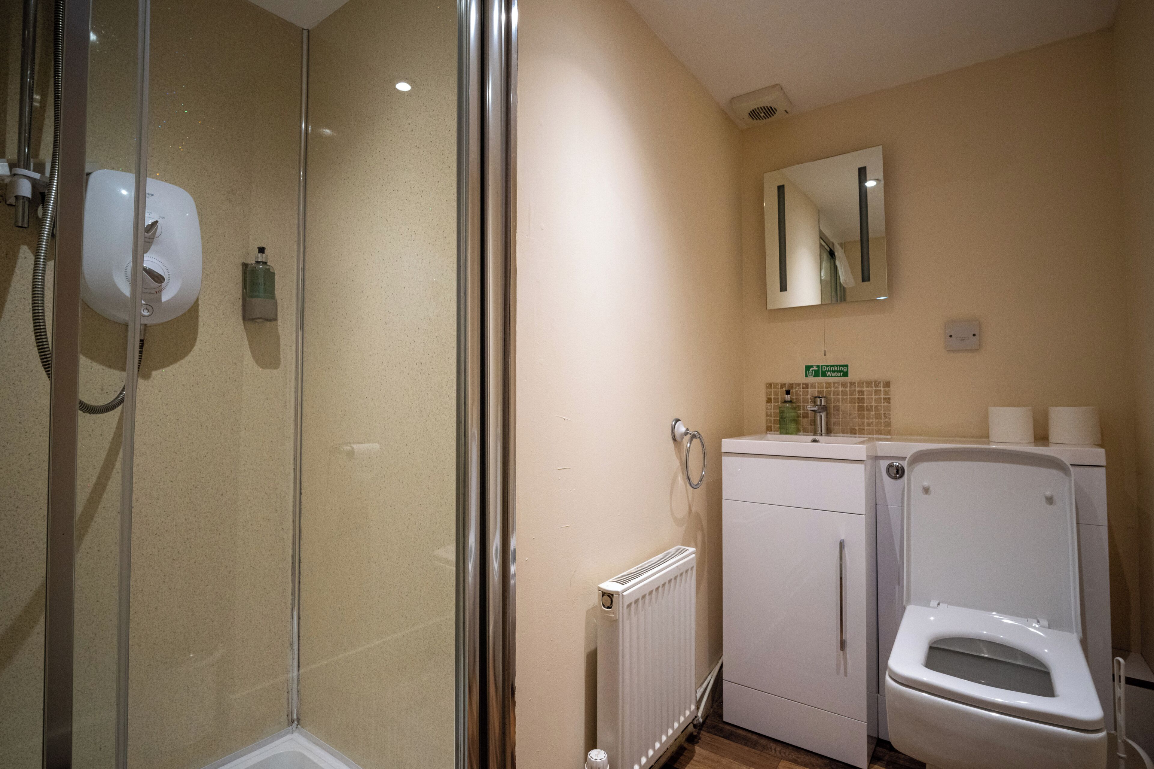 A bathroom with a glass shower enclosure, a toilet, and a sink with a mirror above it.
