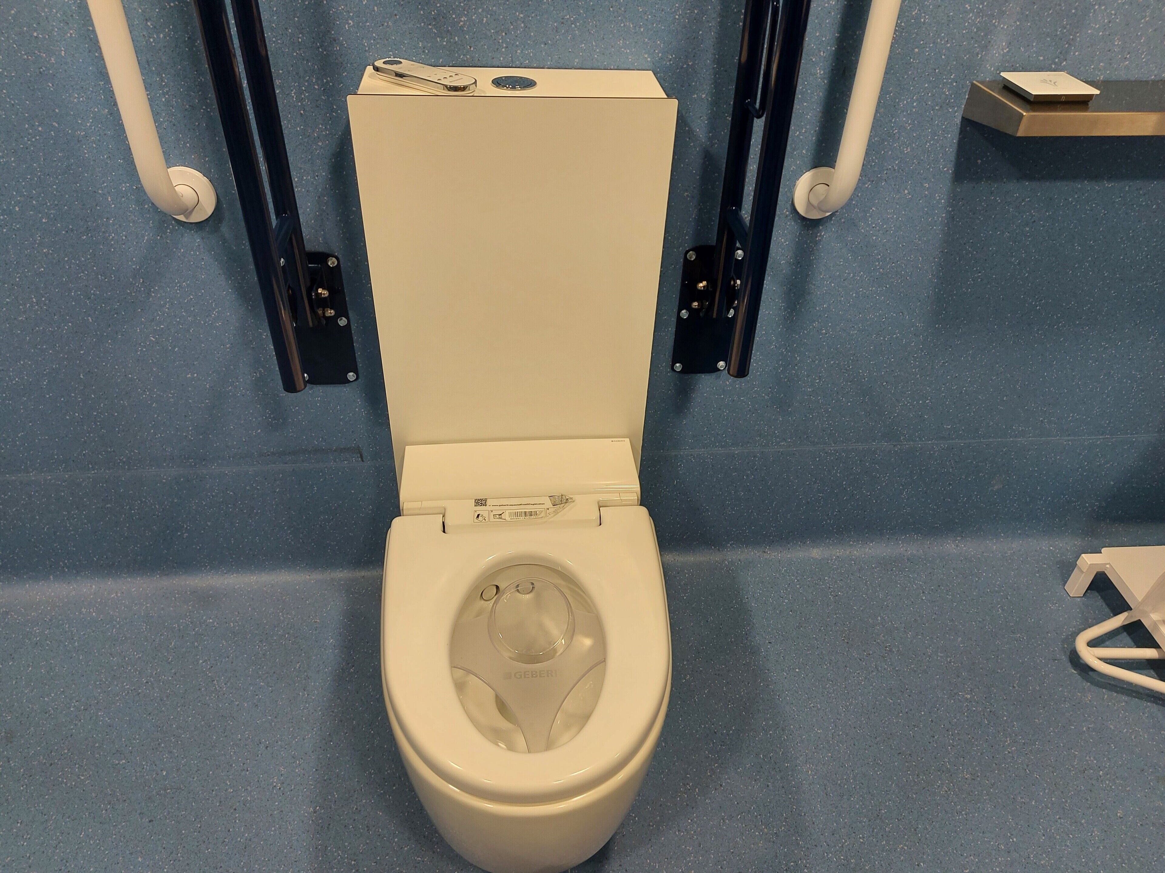 Eine Toilette mit weißem Sitz und Deckel, einer Bedienkonsole an der Wand und einem blaugrau gefleckten Boden.