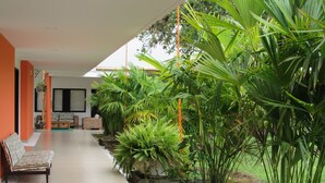 Un interior moderno con un largo pasillo, una zona de estar con sofá y sillones, y diversas plantas de interior.