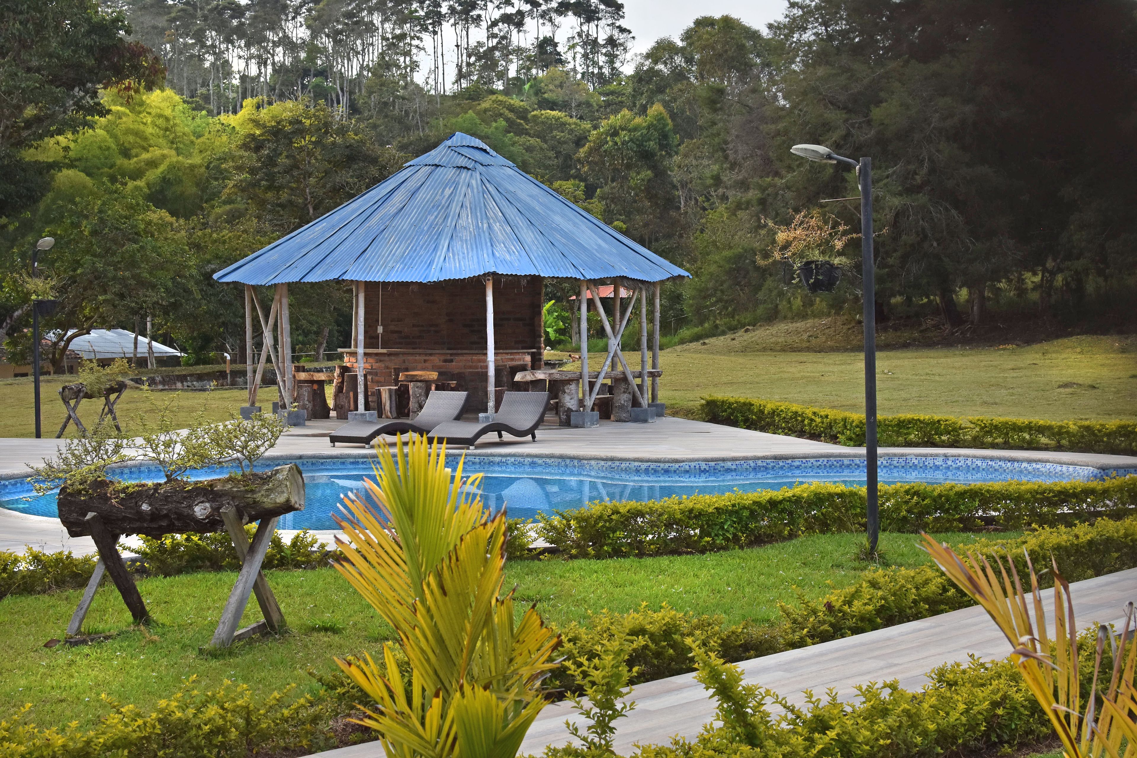 2 piscinas al aire libre, sombrillas