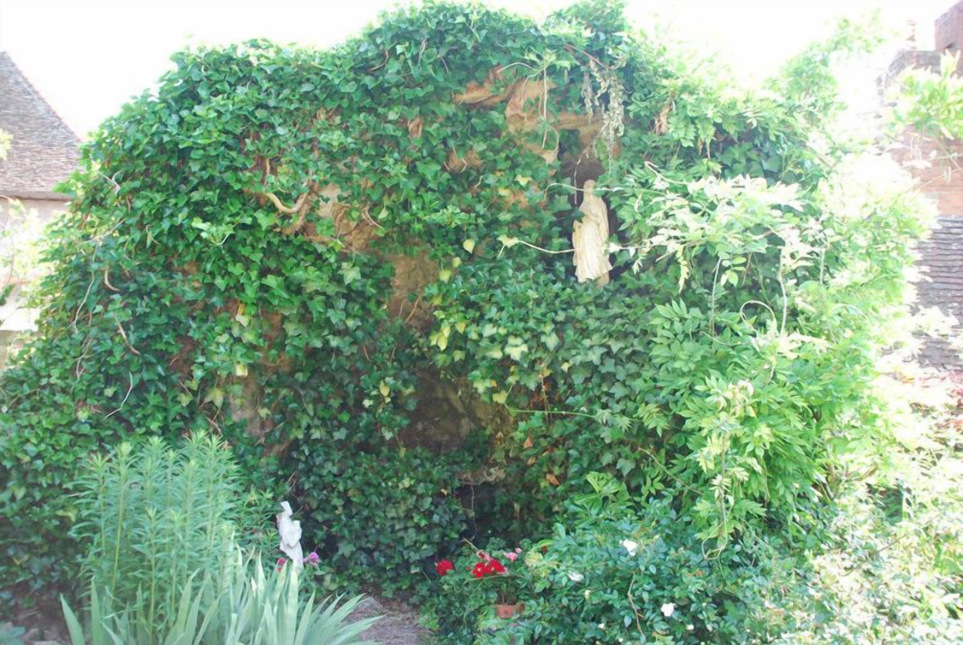 A garden with dense ivy covering a wall, various plants, and a small statue.