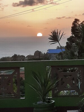 Garden view