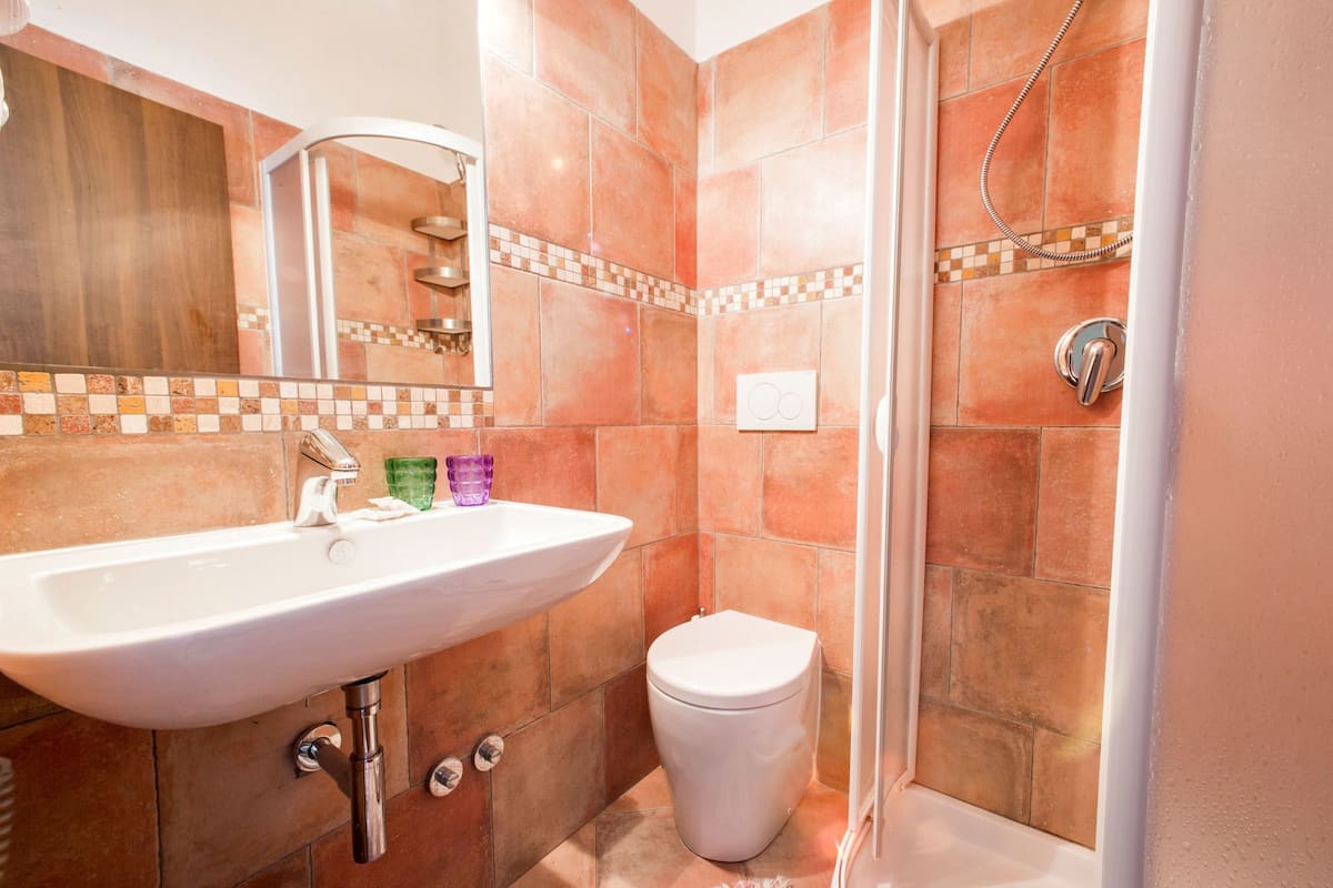 Shower, hair dryer, towels