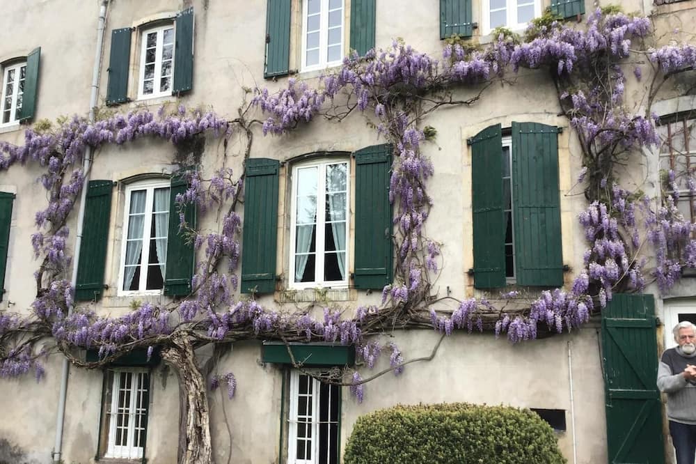 Maison Laclède