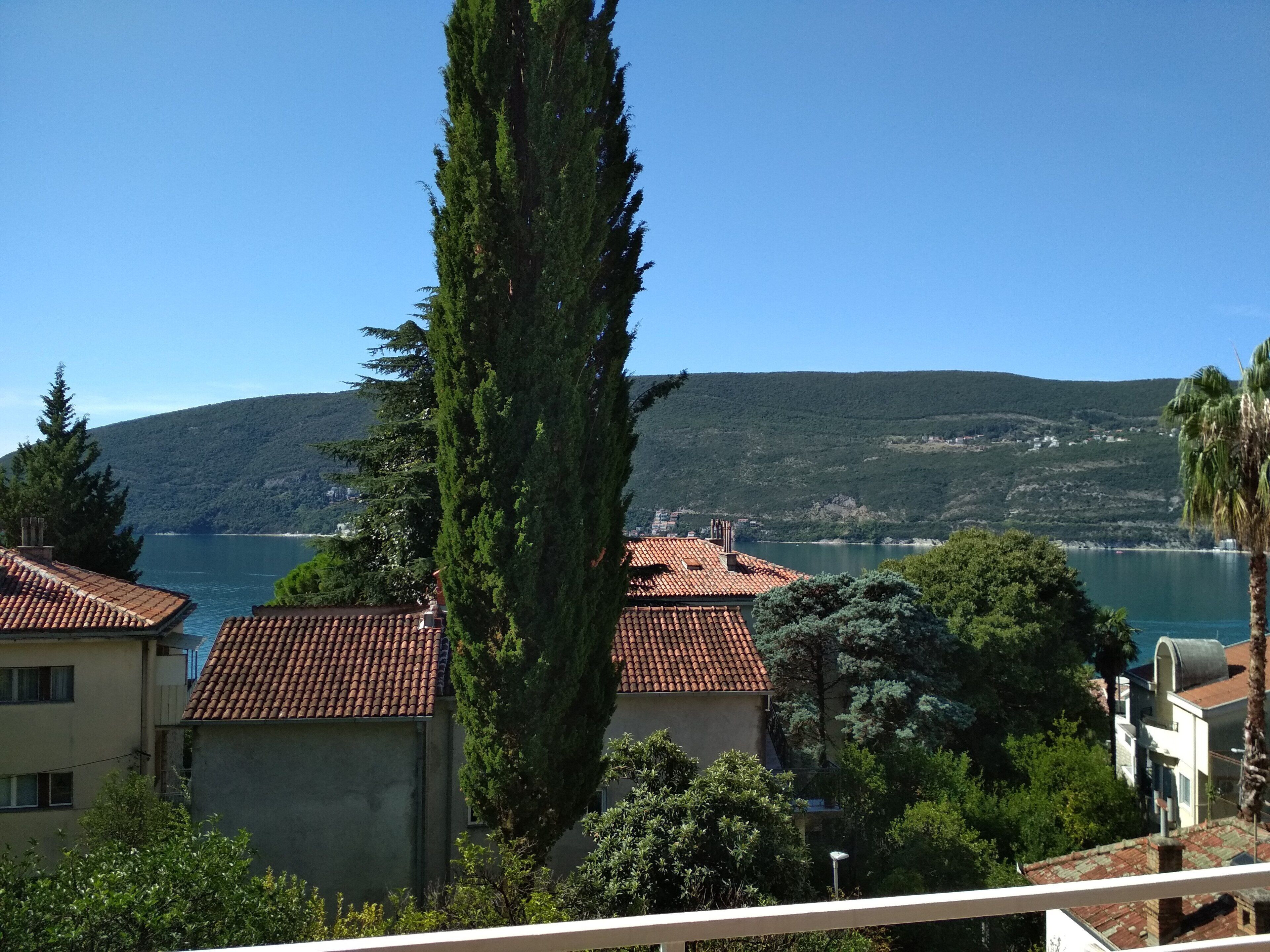 Vista costera con un ciprés alto, edificios con tejados de teja terracota y un cielo azul despejado.