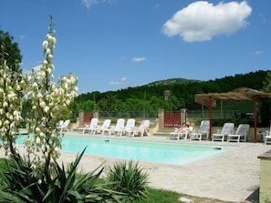 Outdoor pool, pool umbrellas, pool loungers