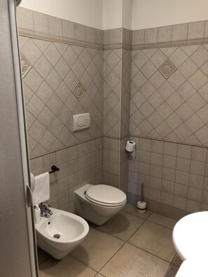 Hair dryer, bidet, towels