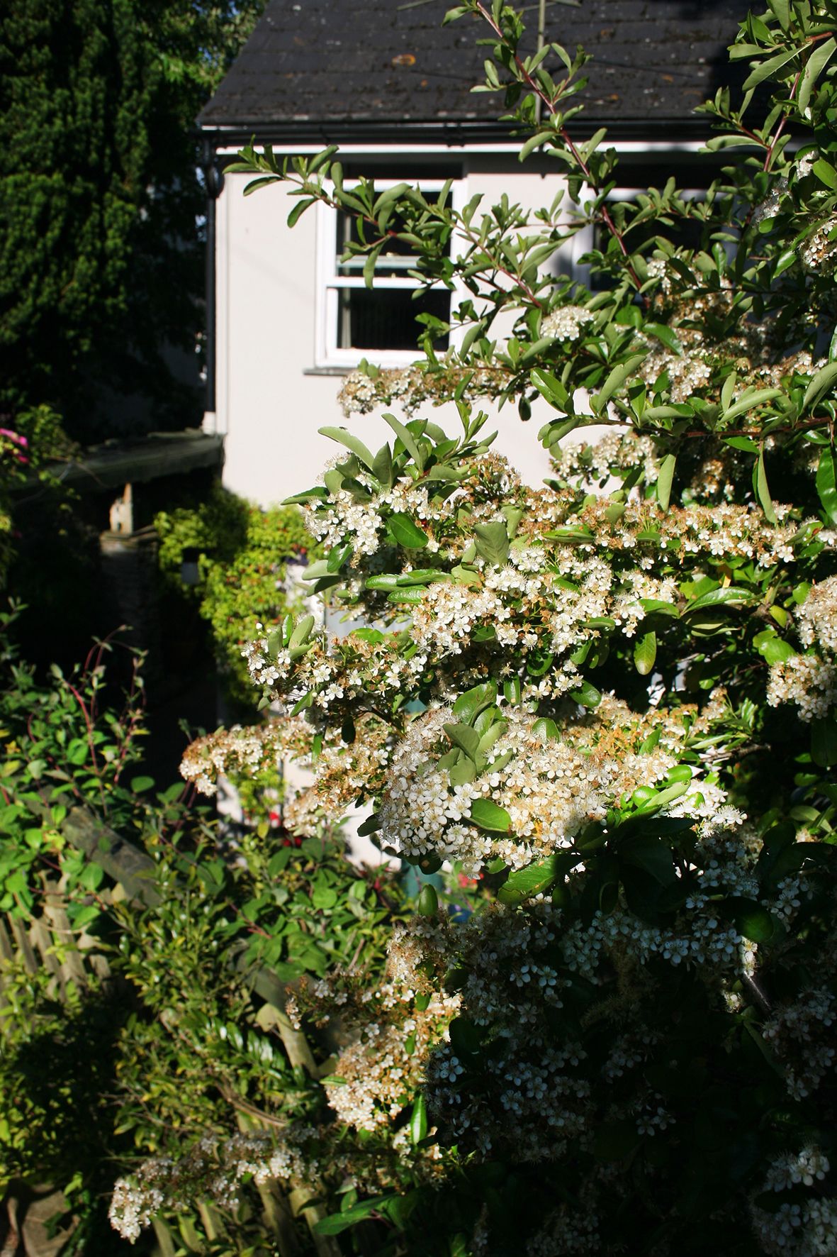 บริเวณภายนอก