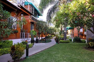Un patio con un sendero, rodeado de abundante vegetación y un edificio de diseño moderno.
