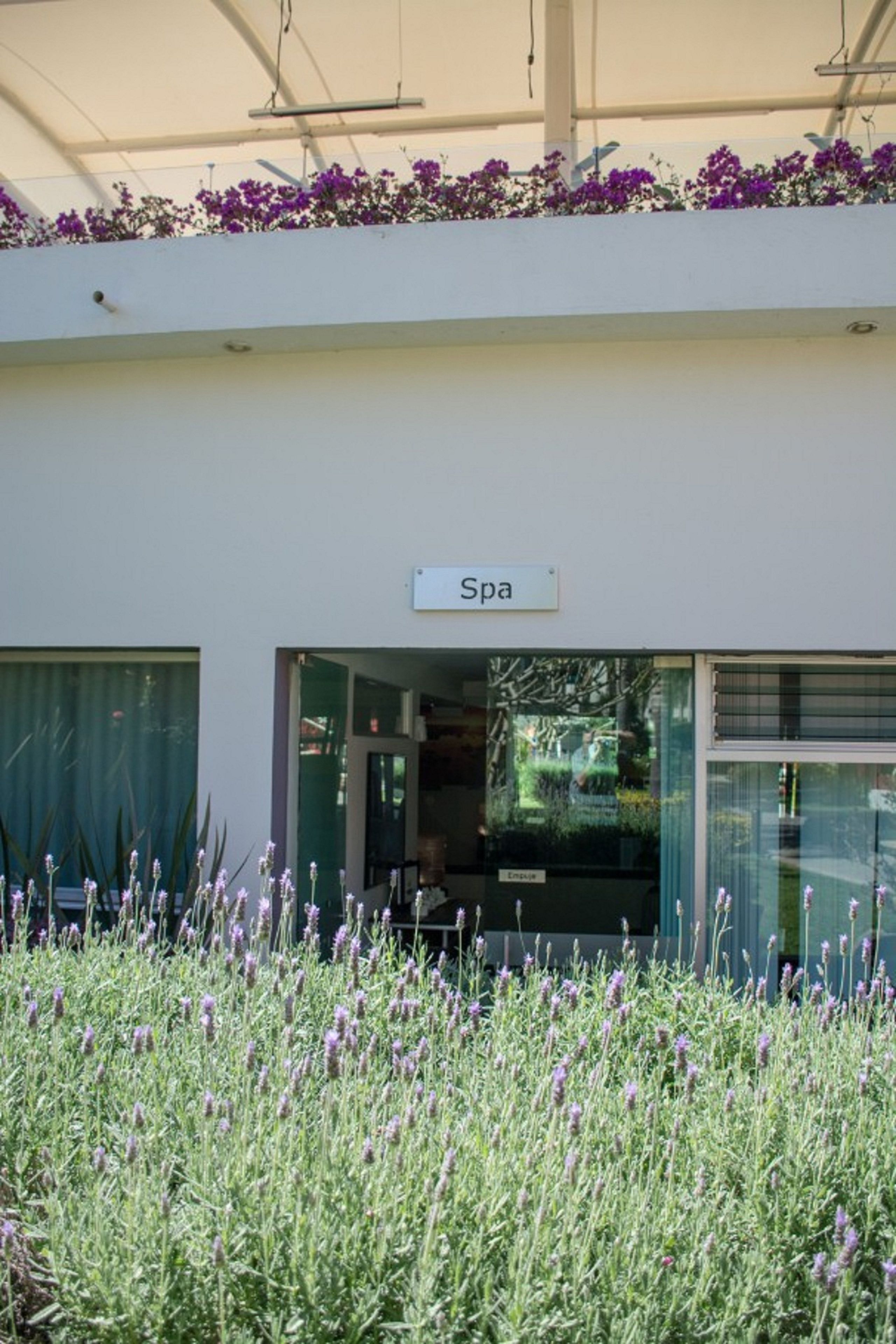 L'ingresso di una spa, con un cartello e piante di lavanda tutt'intorno.