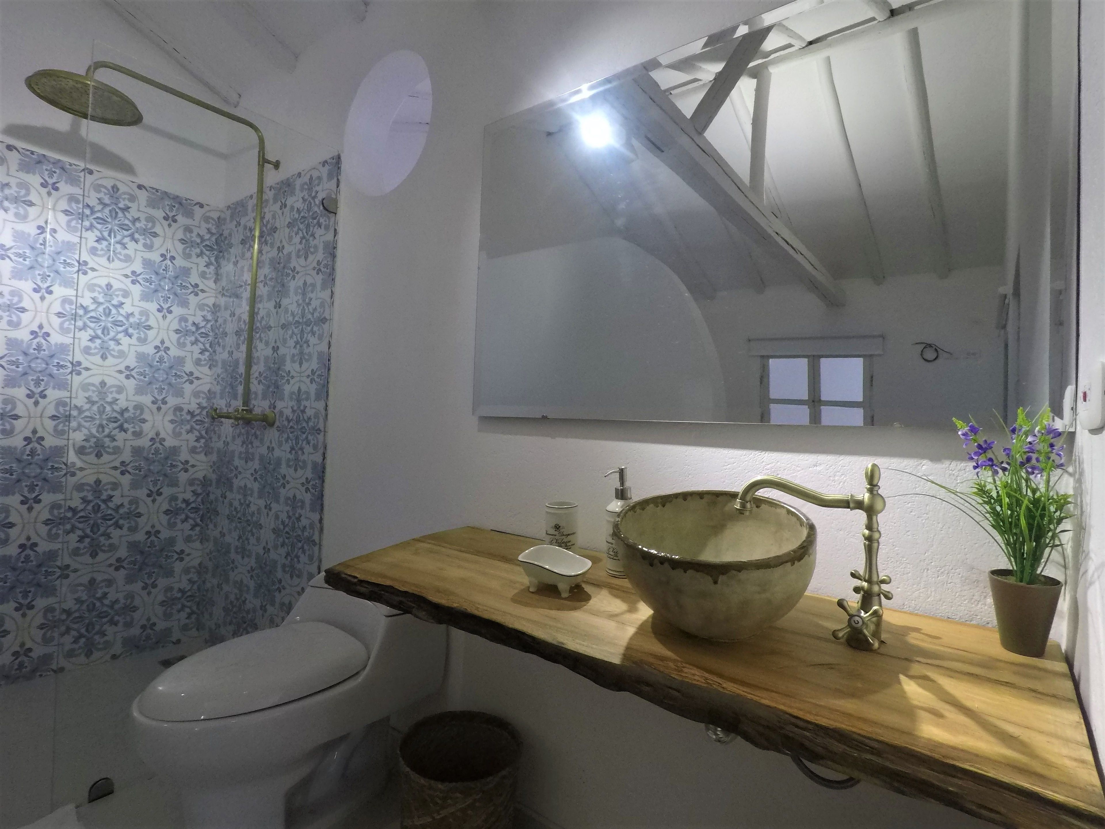 A bathroom with a toilet, a sink with a large basin, a showerhead, and a mirror.