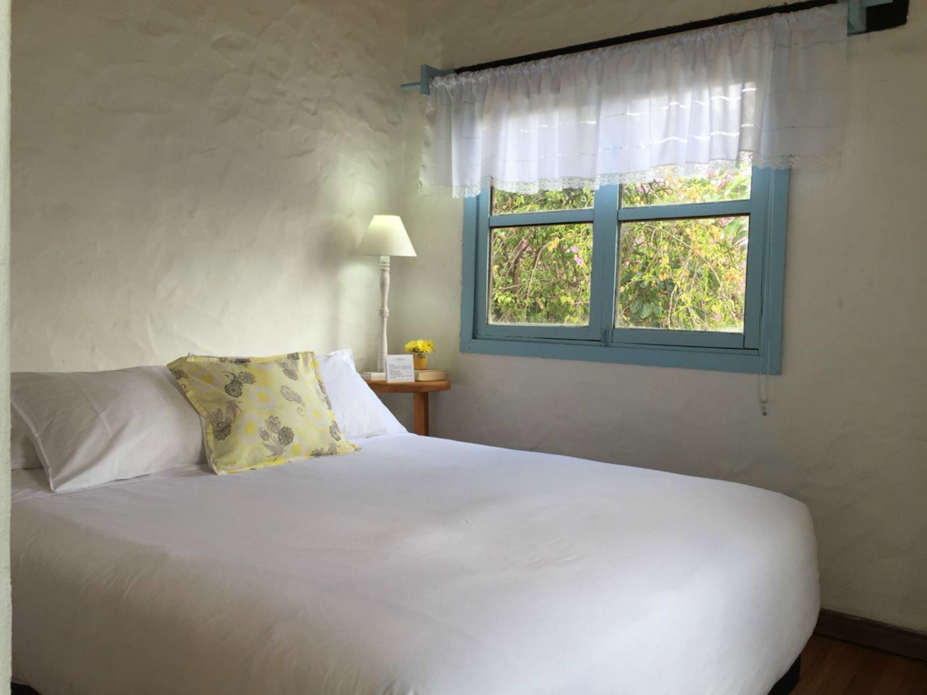Un dormitorio con cama, mesita de noche, lámpara y ventana con vista a follaje.