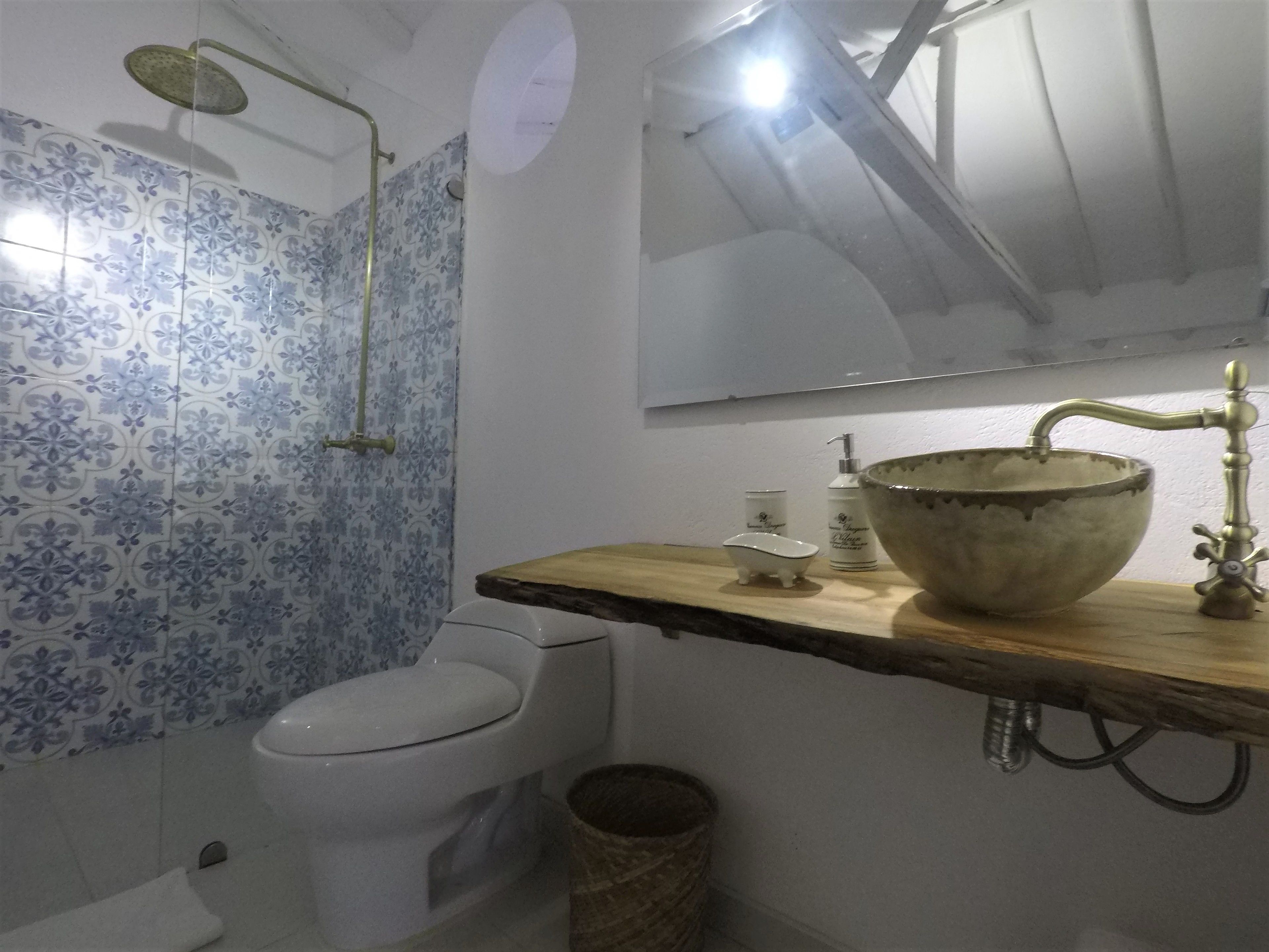 A bathroom with a toilet, a sink with a large bowl, a shower, and a mirror.