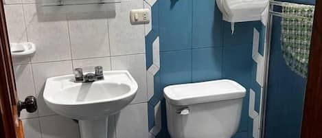 A bathroom with a white sink, a toilet, and a blue shower area.