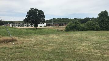 A grassy field with a large tree, a building with a sign, and a fence in the background.