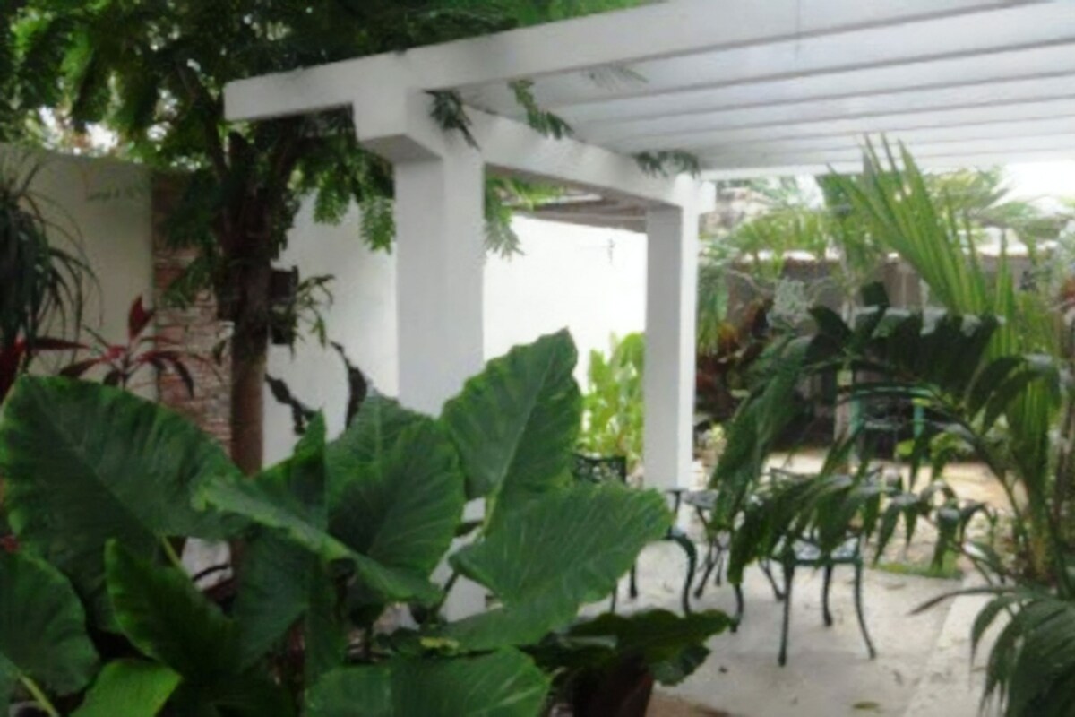 A covered outdoor area with a white pergola structure, surrounded by various plants and potted plants.