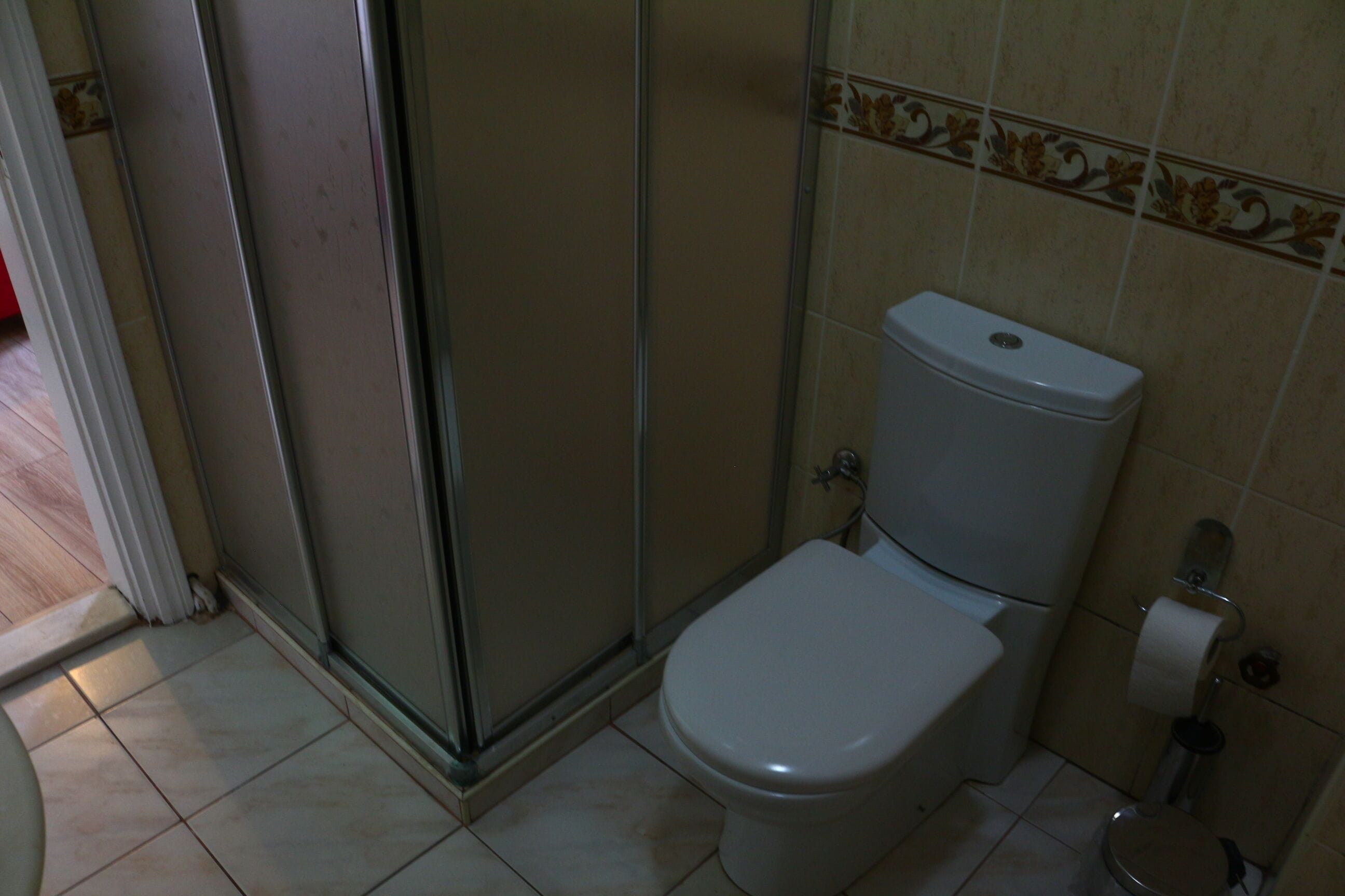 A bathroom with a toilet, a shower enclosure, and a toilet paper holder.