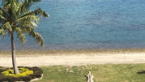 Vista costera con un bote en el agua, palmeras y un área verde con una estatua.