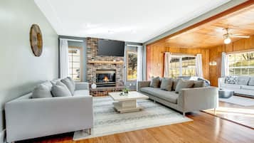 TV, fireplace, video games, Netflix