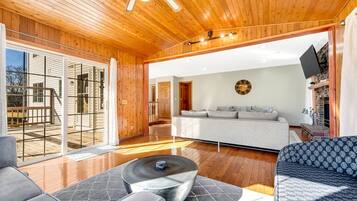 TV, fireplace, video games, Netflix