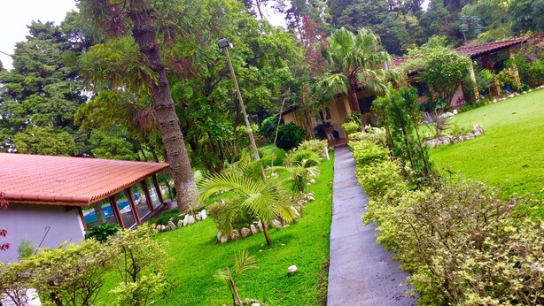 A pathway leading through a lush garden with various plants and trees.