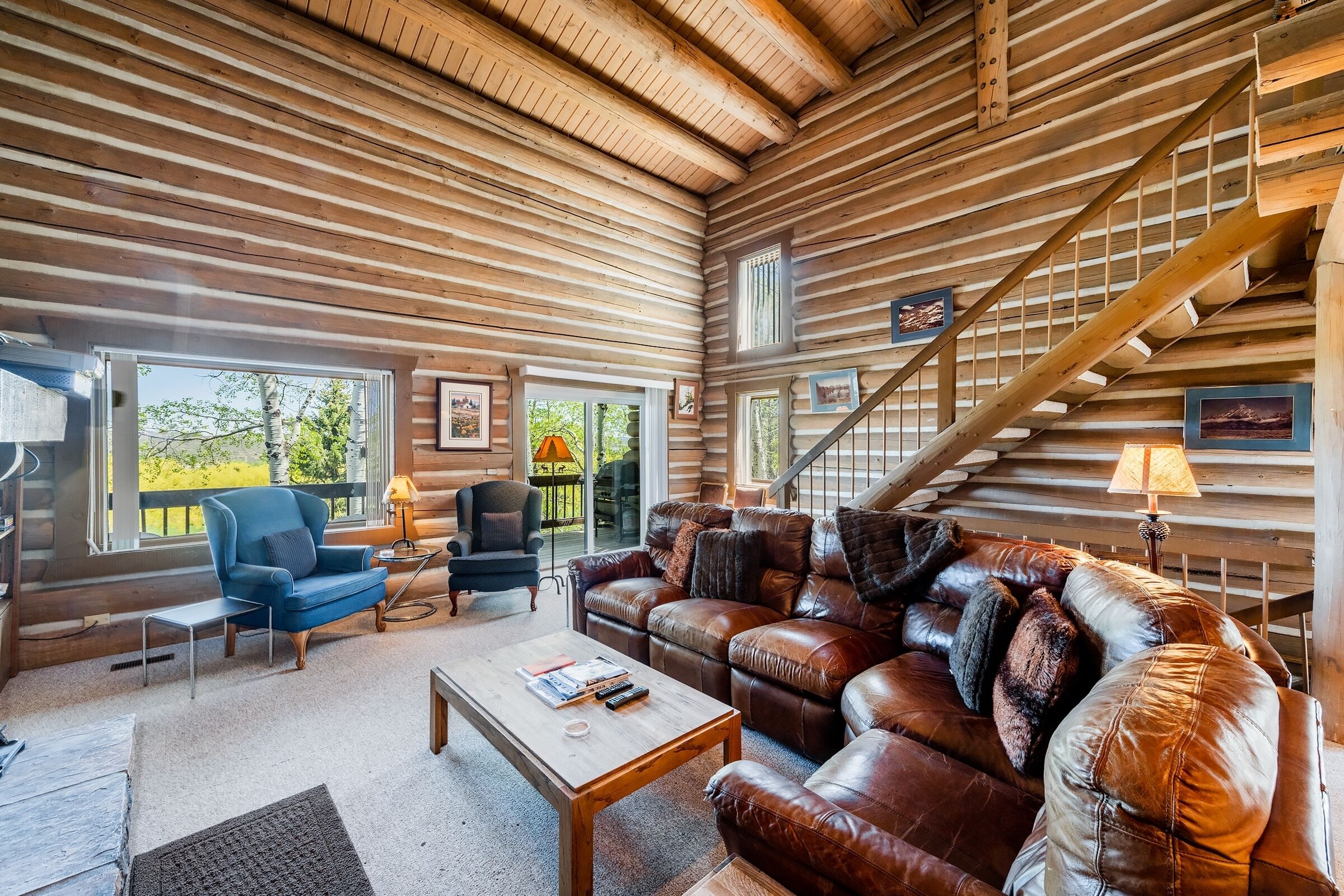 Fernseher, Kamin, Bücher