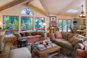 Älytelevisio, takka, DVD-soitin, kirjoja