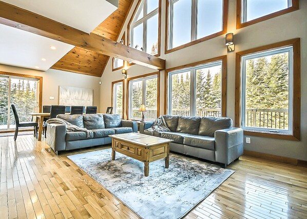 Smart TV, fireplace, Netflix, DVD player