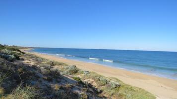 A beach with a clear sky, sandy shore, and sparse vegetation.