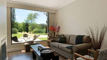 TV, fireplace, DVD player, books