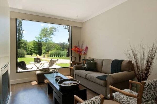 TV, fireplace, DVD player, books