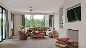 TV, fireplace, DVD player, books