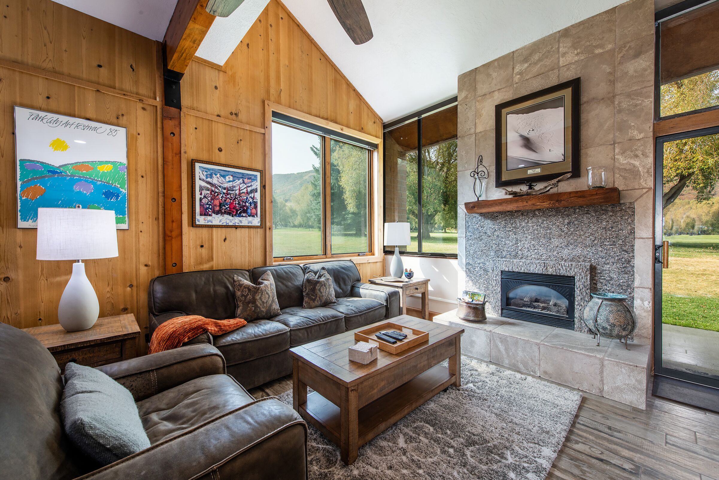 Télévision, cheminée, lecteur de DVD, livres