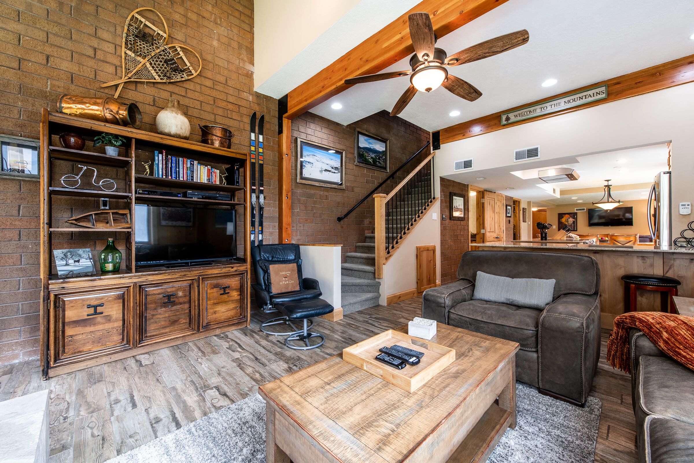 TV, fireplace, DVD player, books