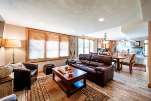 Télévision, cheminée, lecteur de DVD, livres