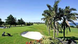 Un parcours de golf doté d’un bunker de sable, de palmiers et offrant une vue dégagée sur l’océan.
