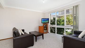 Smart TV, DVD player