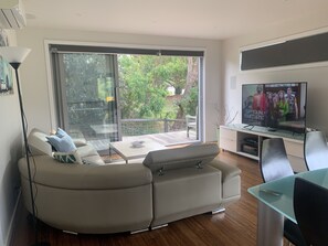 Smart TV, DVD player, books, music library