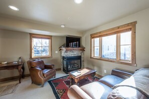 Televisión, chimenea y reproductor de DVD 