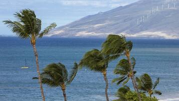 Aan het strand, ligstoelen aan het strand, strandlakens
