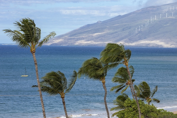 En la playa, sillas reclinables de playa, toallas de playa