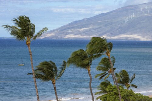 Sugar Beach Resort Oceanview 1 bed/1 bath