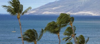 Vue sur la mer, climatisé 1 épis de lit à la piscine et l'océan à Sugar Beach Resort